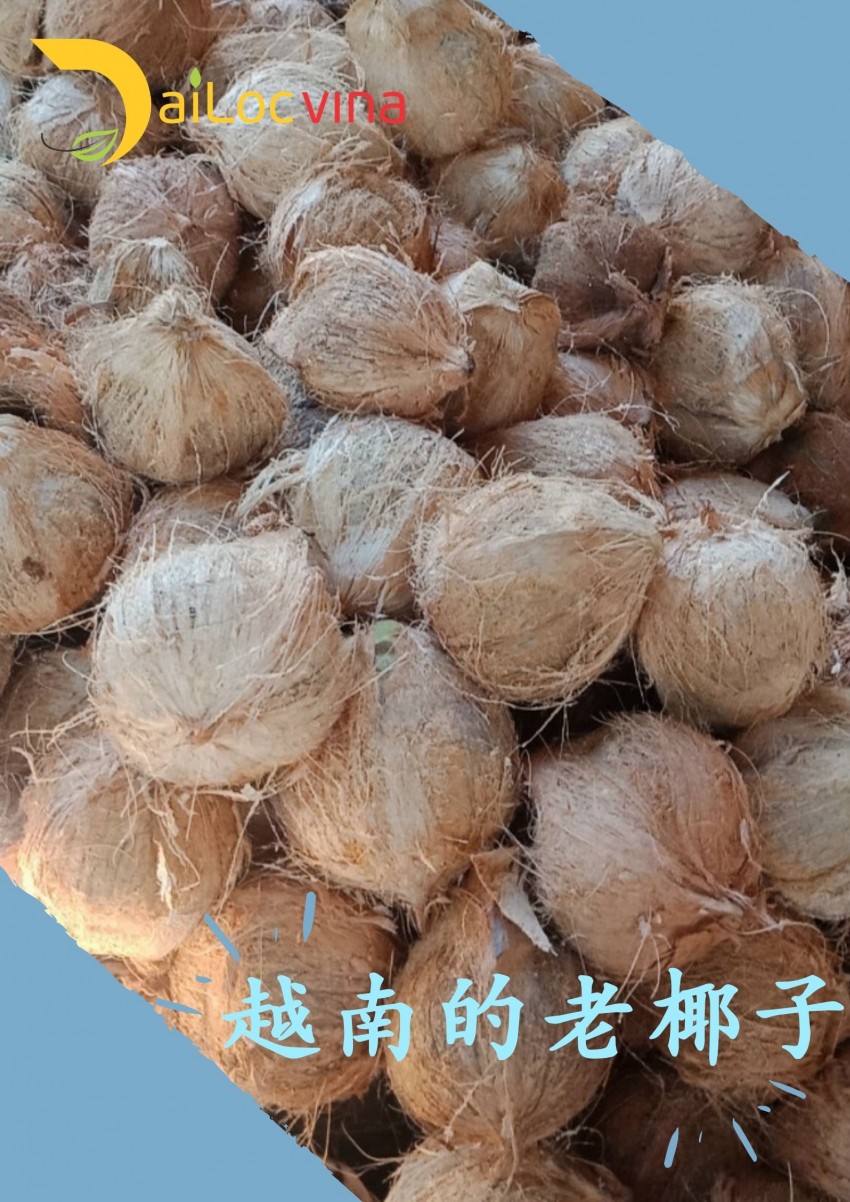 越南的老椰子，天然进口食品，无公害产品