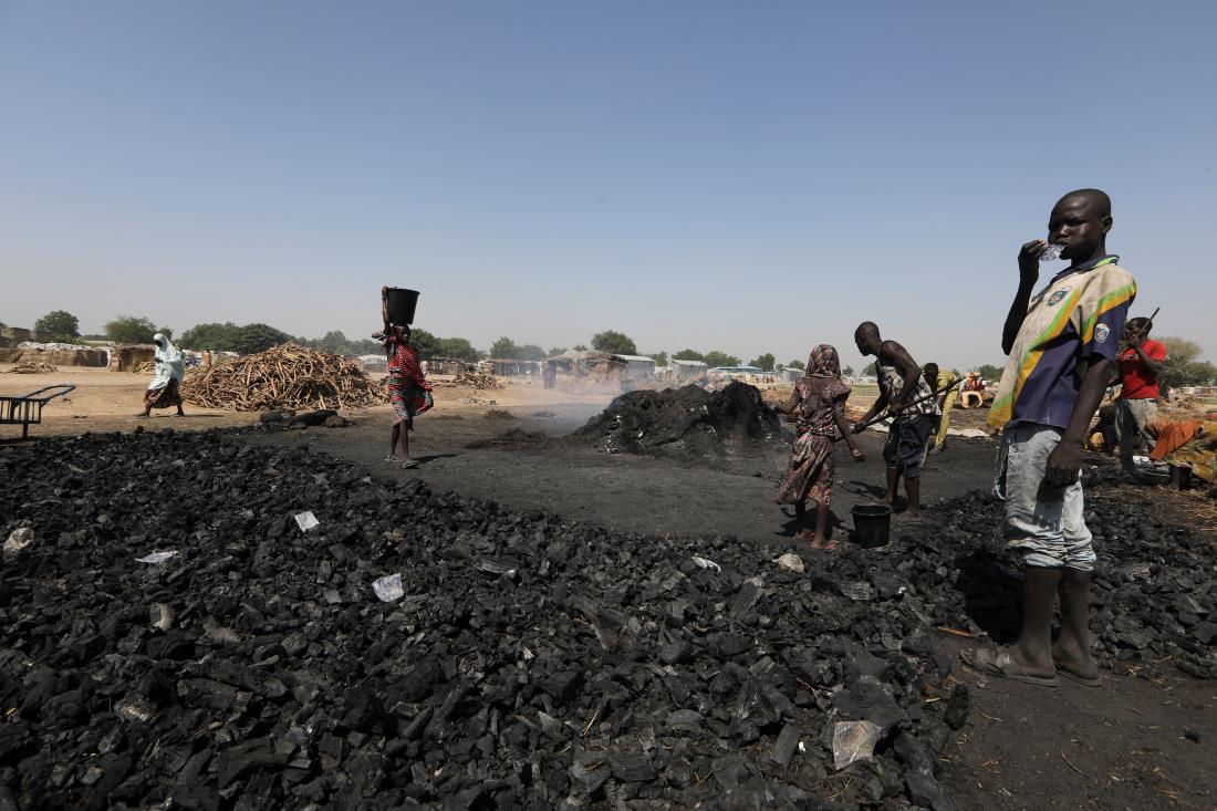 People work during the production of charcoal in Maiduguri, Nigeria October 29, 2021. Picture taken October 29, 2021. REUTERS/Afolabi Sotunde