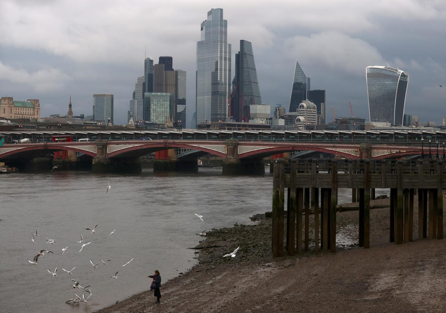 A woman feeds birds on the bank of the river Thames with London's financial district seen in the background, amid the coro<em></em>navirus disease (COVID-19) in London, Britain, November 25, 2020. REUTERS/Simon Dawson/File Photo