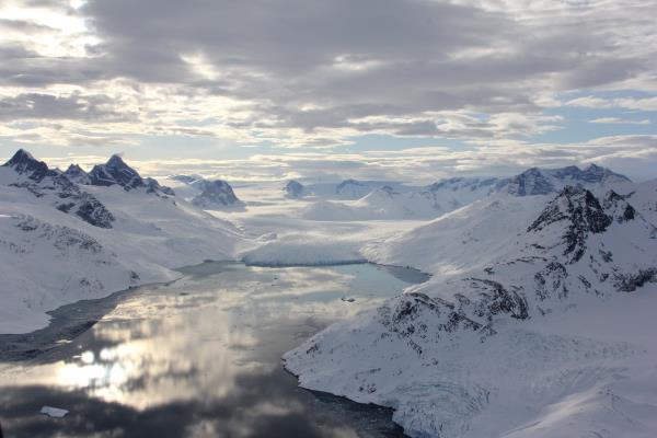 Isolated Greenland polar bear population adapts to climate change