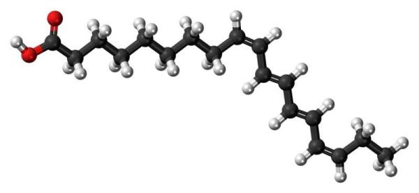 fatty acids