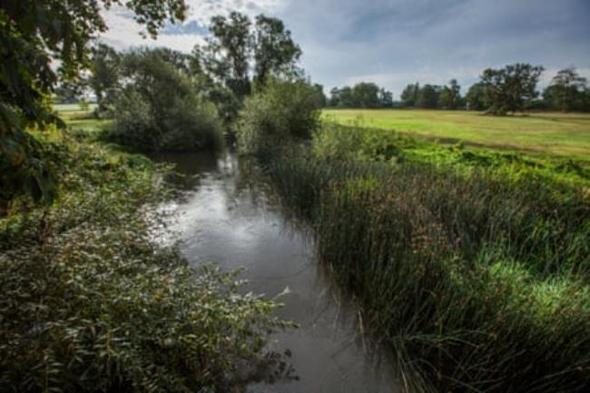 The Blackwater in Berkshire running through a green rural landscape.