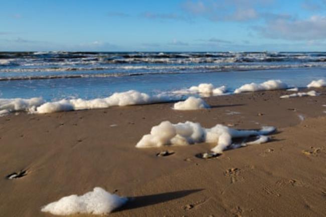 A seashore with blobs of foam on the beach 