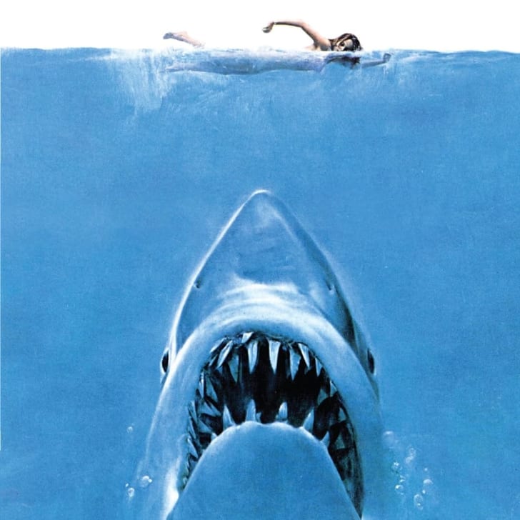 The cover art to 'Jaws' is pictured