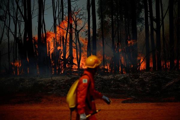 A firefighter walks in front of flames rising from a wildfire in an area of Natio<em></em>nal Forest Brasilia, in Brasilia, Brazil, September 4, 2024.