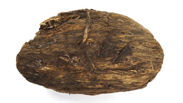 Bog butter find with organic casing from Baunmore Bog, Co Tipperary. Photo: Natio<em></em>nal Museum of Ireland