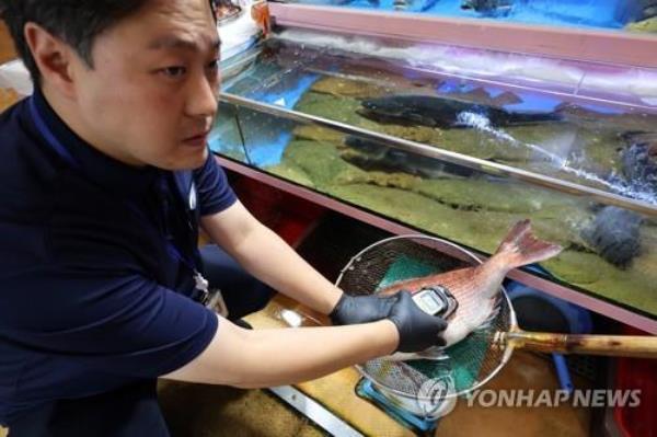 An official co<em></em>nducts a radioactivity test on a fish imported from Japan at the Noryangjin Fisheries Wholesale Market in Seoul on Aug. 23, 2024. (Yonhap)