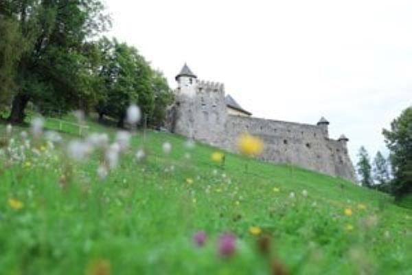 Ľubovniansky hrad priťahuje najmä turistov z Poľska.