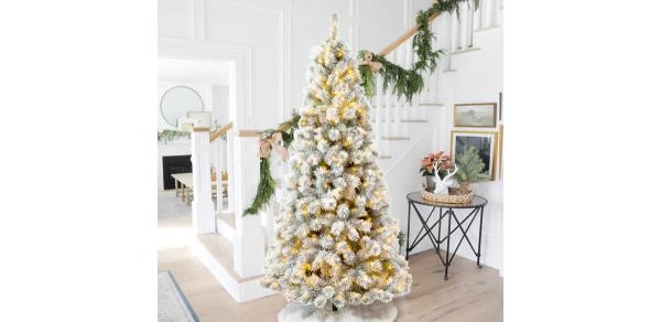 The Holiday Aisle Guillema Pre-Lit Lighted Artificial Pine Christmas Tree