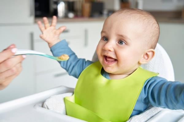 Smiling 8 mo<em></em>nth Old Baby Boy Being Fed Solid Food By Mother With Spoon