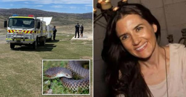 An emergency vehicle on a high grassland plain, a curled up copperhead snake, and Lovisa with long brown hair smiling.