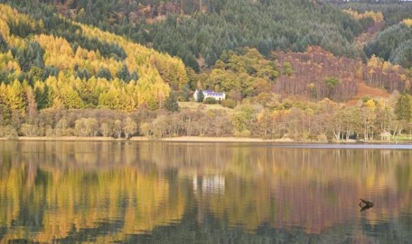 Yellow and green autumnal trees are reflected in the water in Loch Achray in Perthshire, Scotland