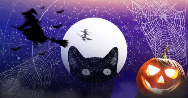 Tarot reveals the spooky omen your star sign should look out for this Halloween - horoscope