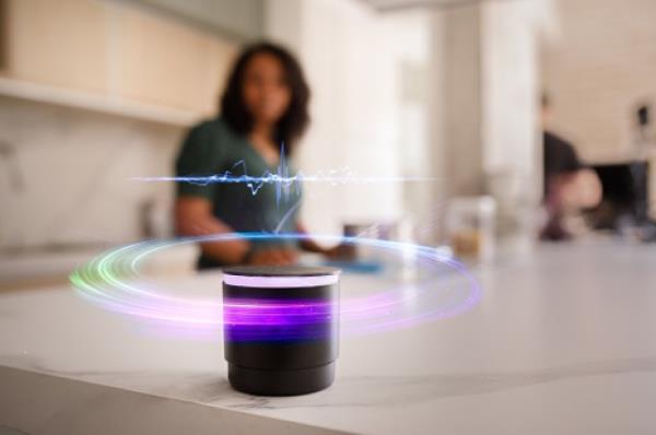 Co<em></em>nceptual view ofa smartspeaker