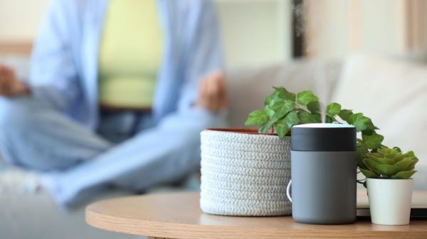 humidifier on coffee table