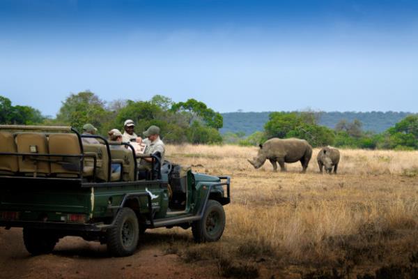 An emotio<em></em>nal experience: Phinda Private Game Reserve.