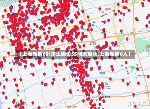 【上海新增6例本土确诊55例无症状,上海新增6人】-第1张图片